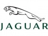 BRANDS 6 Jaguar